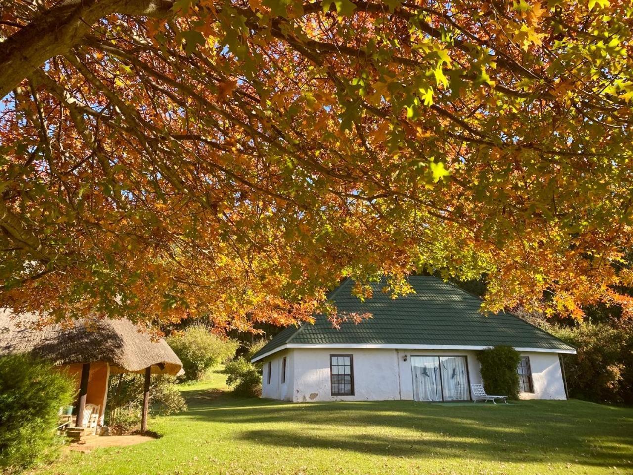 Pear Tree Cottage-Underberg Exteriör bild