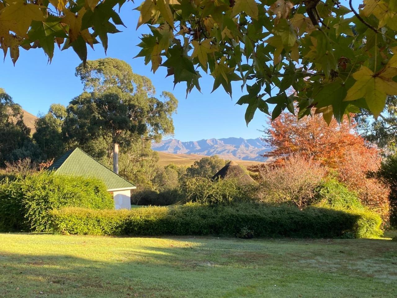Pear Tree Cottage-Underberg Exteriör bild